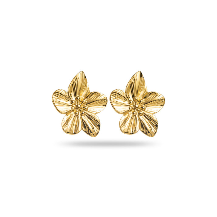 Boucles Gisèle