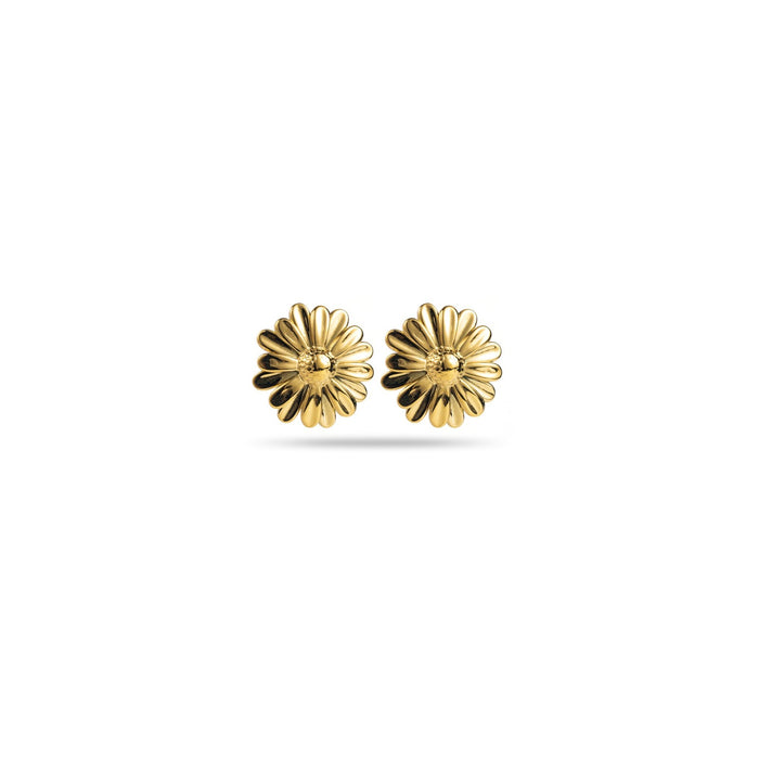 Boucles Flora