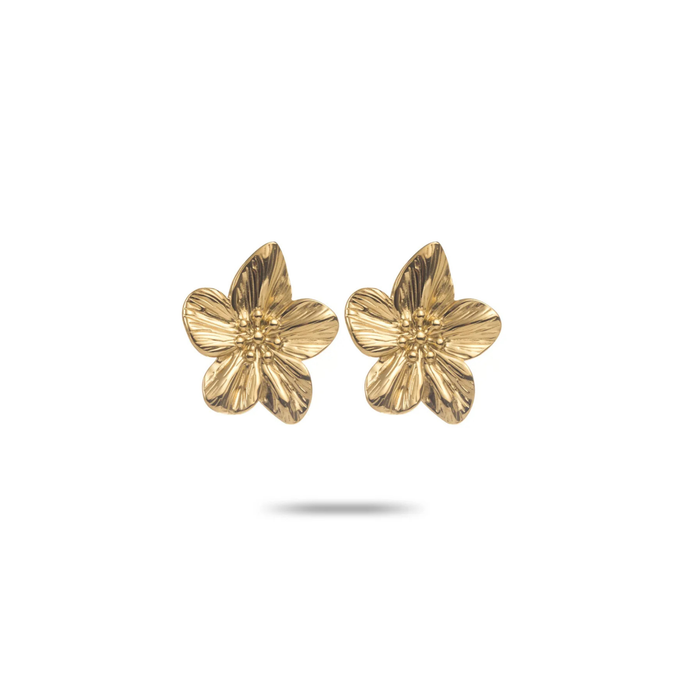 Boucles Suzon